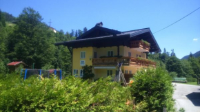 Гостиница Haus Rosina, Мюльбах-Ам-Хохкёниг